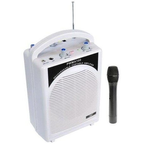 Portable PA System